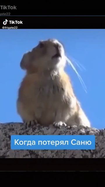 если нужно кого позвать ты маякни смотреть онлайн