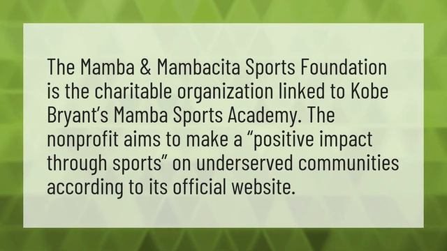 What is Mamba and Mambacita? смотреть онлайн