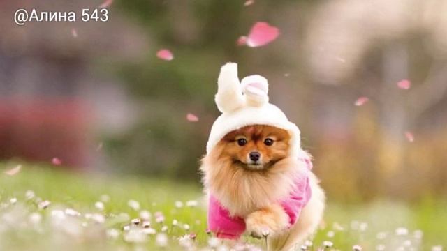 Красота!!!! смотреть онлайн