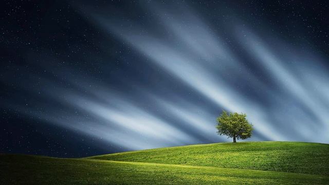 Partizan centenar смотреть онлайн