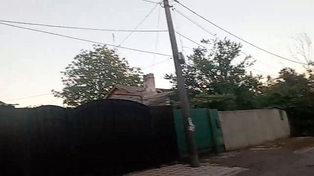 Как 8 марта лают собаки смотреть онлайн