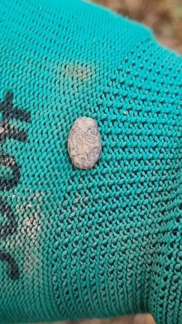 Моя самая старинная находка! #металлокоп, #металлоискатель, #жизньвдеревне,