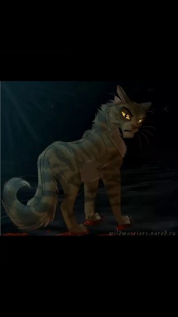 Это имя знает каждый.. || Коты-воители || Звездоцап #котывоители #звездоцап смотреть онлайн