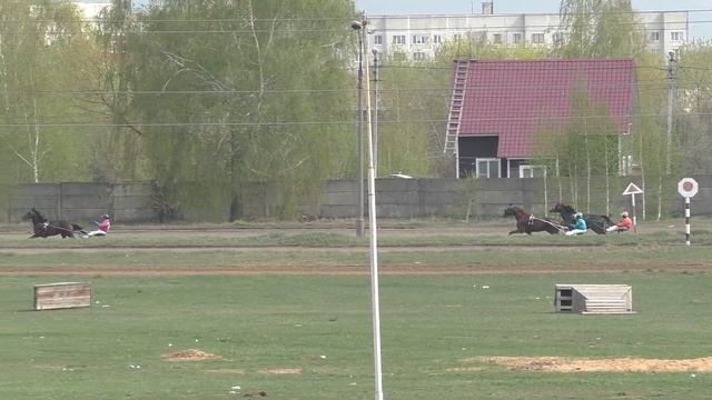 5 Раменский ипподром 27.04.19 - Лошади рожд. 2016г. рысистых пород смотреть онлайн