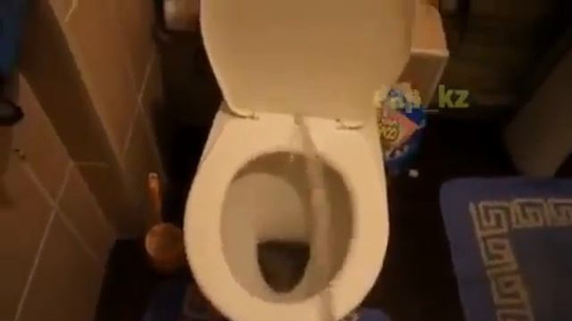 пись пись смотреть онлайн