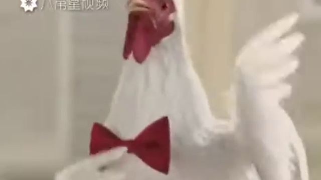 кытайлар ай смотреть онлайн