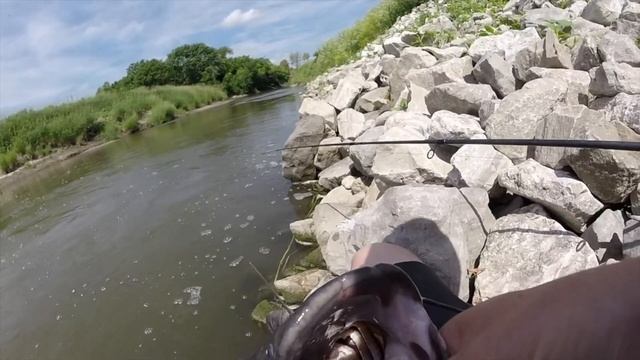 Spillway Fishing LIVE GOLDFISH In An URBAN SPILLWAY!!! (Finally Got One) смотреть онлайн