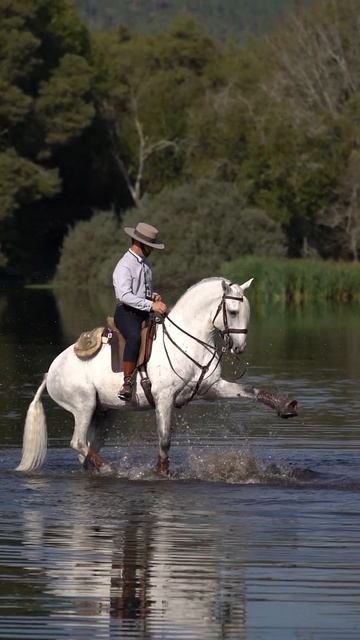 Join Lusitano World Photo Programs in 2024 📸 смотреть онлайн
