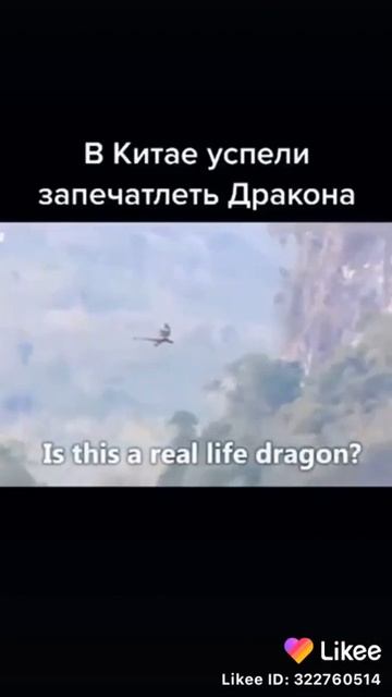 В гораз Китая доносился странный звук и это окозался дракон 😱 смотреть онлайн