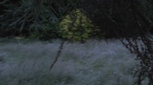 Убийство в Мидсомере 11 сезон 2 серия «Кровавая свадьба»