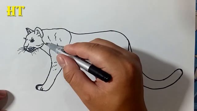How to Draw a Mountain Lion Easy Step by Step смотреть онлайн