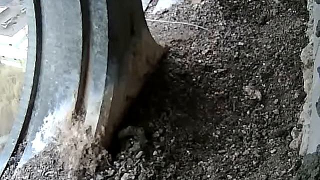 Самец принёс еду, но не отдал её 3.mp4 смотреть онлайн