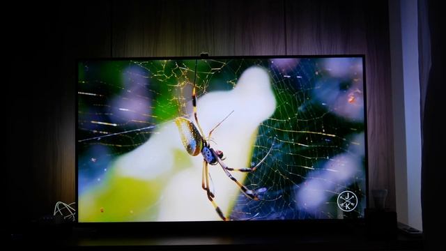 TV AMBILIGHT 55” Philips / OPINIÃO do USUÁRIO! смотреть онлайн