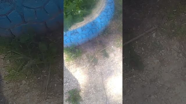 поставь лайк за ужа смотреть онлайн
