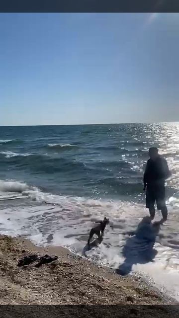 Чаузи ф1, первый раз на море, выпускник смотреть онлайн
