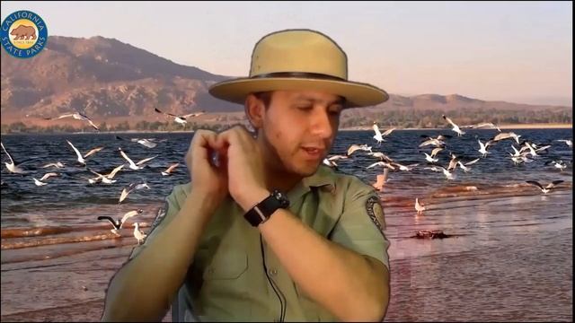 Lake Perris Chat Ep. 1: "Rattlesnakes: Myth and Reality" смотреть онлайн