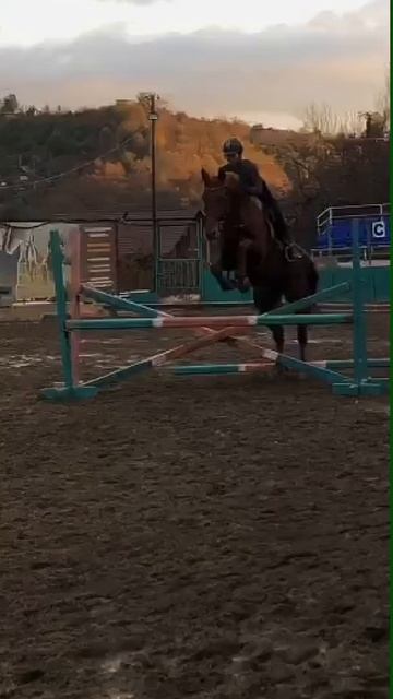 я пыталась🤷♀️#лошади #конница #популярити #конкур #галоп смотреть онлайн