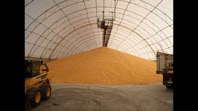 Взять "мышь"! Громкий скандал снова поднял страну - тотальная облава, они потеряли страх смотреть онлайн