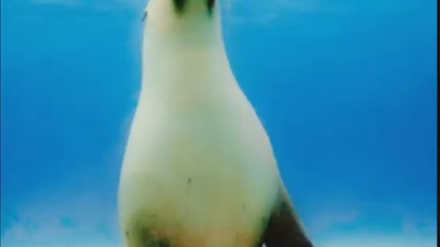 17 августа 2022 г. смотреть онлайн