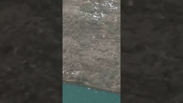 Поймали куропаток (Кеклик) но потом отпустили смотреть онлайн
