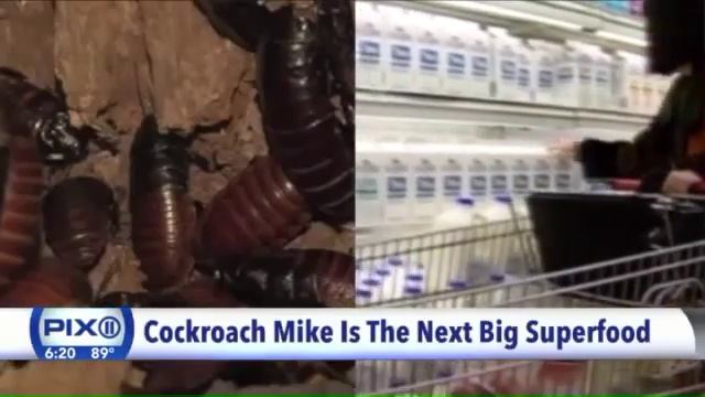 Cockroach milk the next superfood? смотреть онлайн