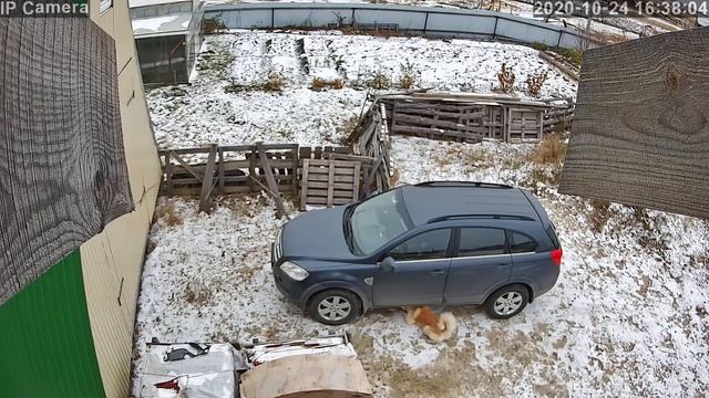 24 октября 2020 г. смотреть онлайн