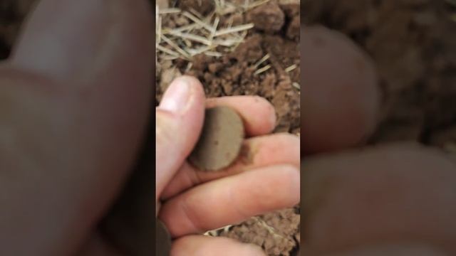 Коп по старине, римские монеты и многое другое смотреть онлайн