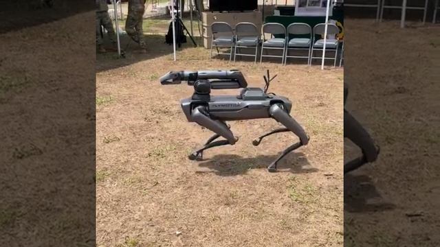 ROBOT DOG US Army #ROBOT #Dog #us_army смотреть онлайн