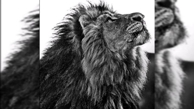 Самое длинное видео 9 смотреть онлайн