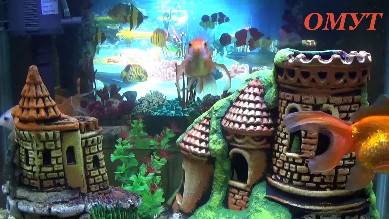 271. МОЩНАЯ ЧИСТКА и ВОЗВРАТОЧКА ЧЁРНОГО ПОСЫЛА... смотреть онлайн