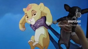 король лев 🦁