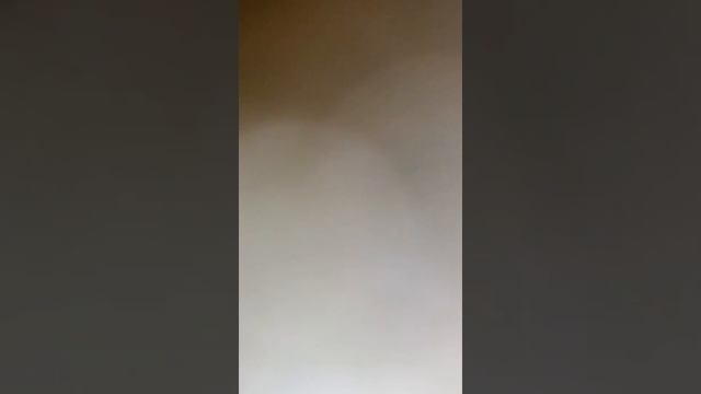 Призыв жвачного гномика Пришёл смотреть онлайн