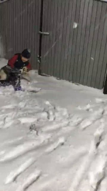 9 ноября 2019 г. смотреть онлайн