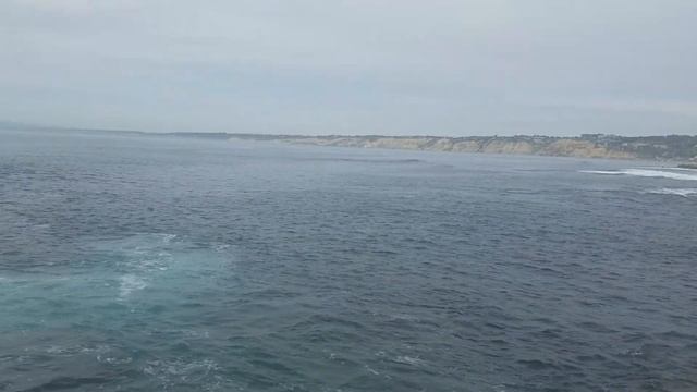 Dr. Dai Huynh at La Jolla cove #1 смотреть онлайн