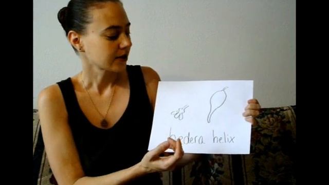 Voynich #8 found the word ivy смотреть онлайн