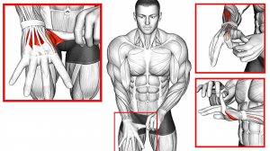 Упражнения для функциональной разминки запястий