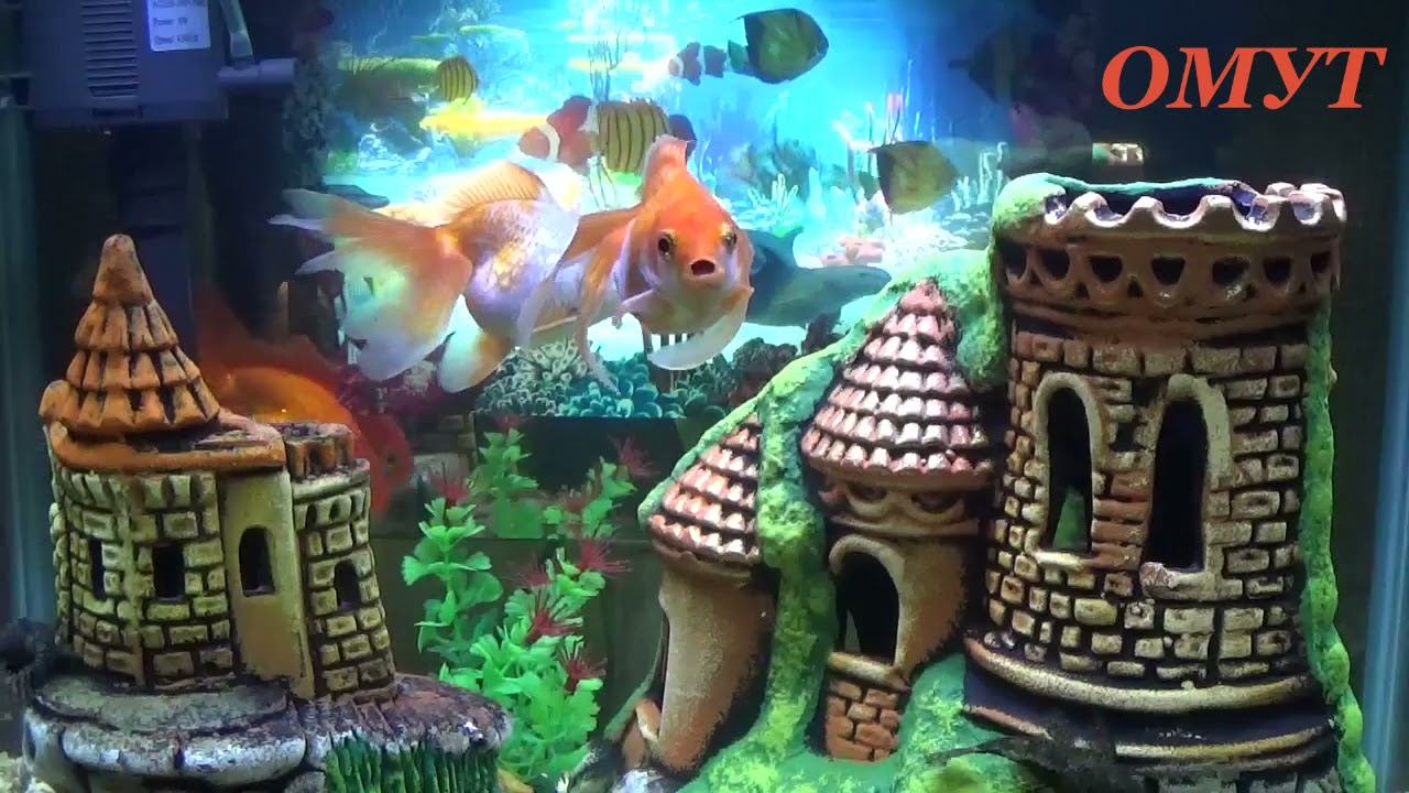 340. ОТПРАВИМ ЧЕРЕЗ ДЫМ... смотреть онлайн