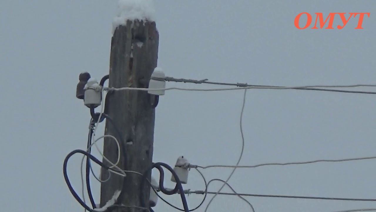 259. КРАСАВЧИК С НАМИ... смотреть онлайн