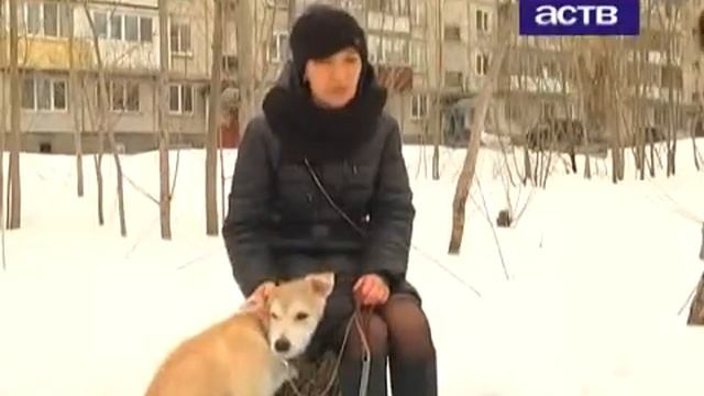 Камбэк и Джек Воробей. Кто из них ваш? смотреть онлайн