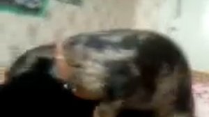 малолетняя извращенка