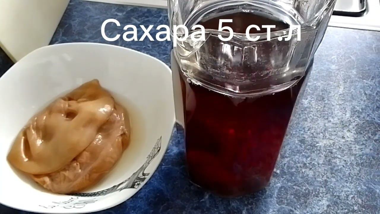 Как я завариваю чайный гриб смотреть онлайн