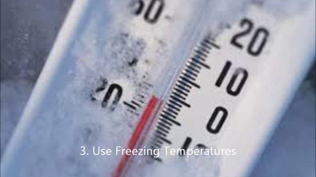 How To Kill Bed Bugs In Books смотреть онлайн