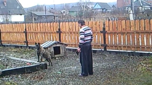 Пьяный и собака смотреть онлайн