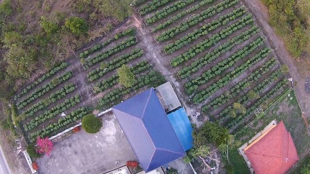 EA Fertigation Enterprise Phase 1 (Chili Farming) смотреть онлайн