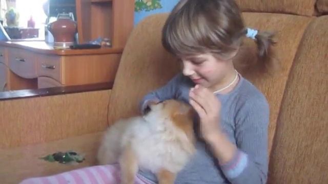 сися пися смотреть онлайн