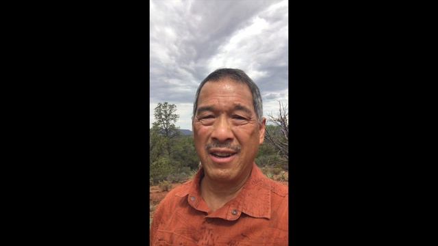 Evolution of Yang Chengfu’s Solo-Form From Yang Sau Chung to LI Yaxuan: A Teaching Approach смотреть онлайн