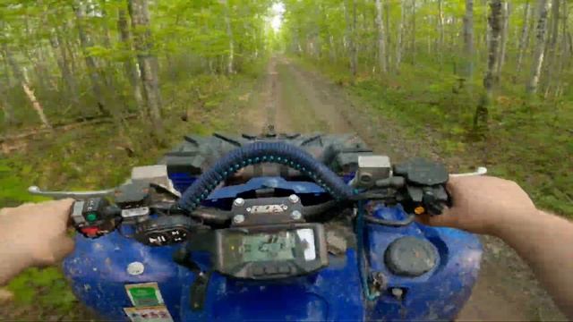 Everything is so green! | Yamaha Grizzly 700 Trail Riding смотреть онлайн