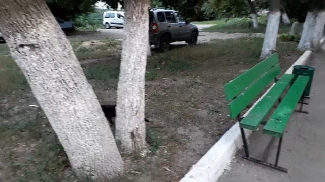 Саранские кошки смотреть онлайн