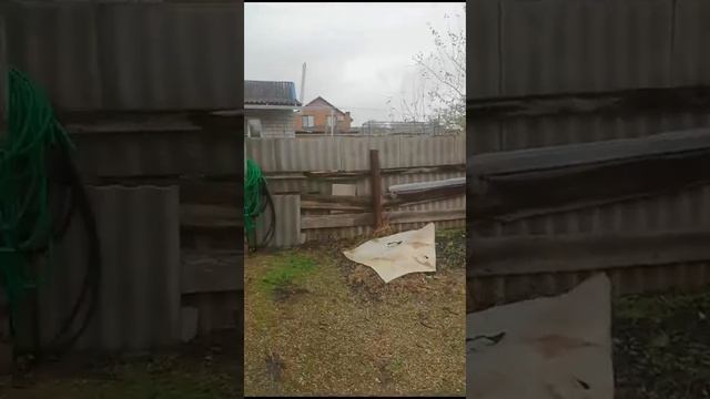 20 ноября 2023 г. смотреть онлайн