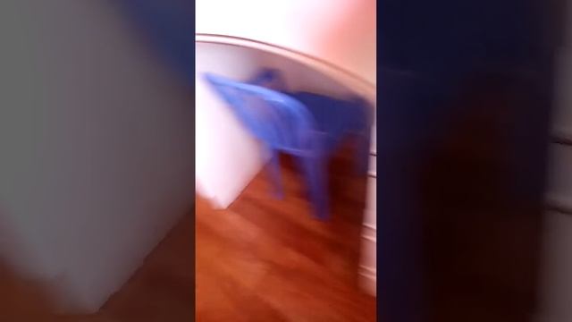 23 июля 2016 г. смотреть онлайн